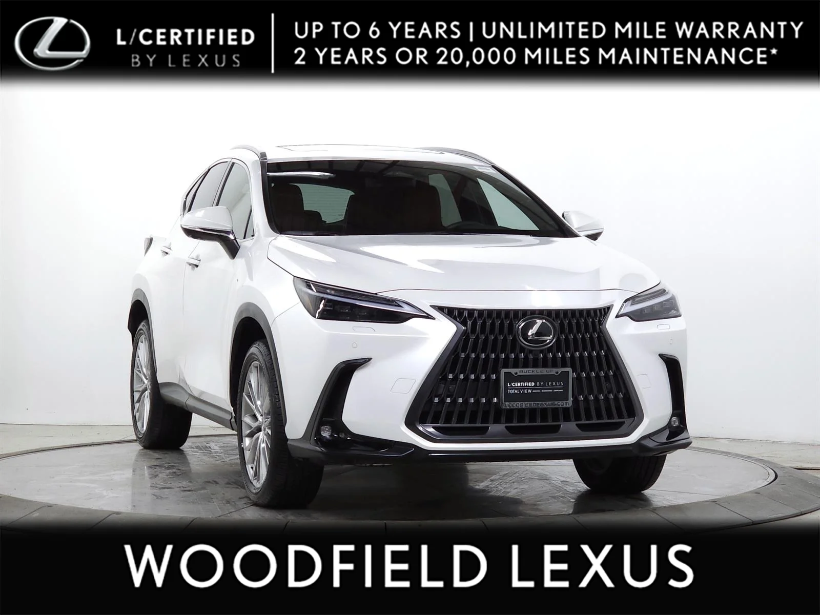 2025 Lexus NX 350h 350h Luxury AWD's photo