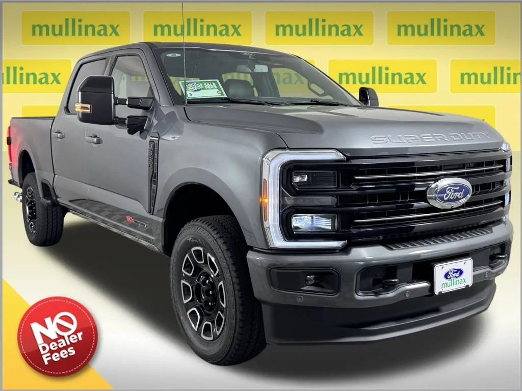 New 2026 Gray Ford Platinum image 1