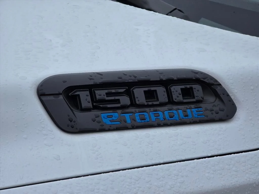 Used 2025 White Ram Tradesman image 14