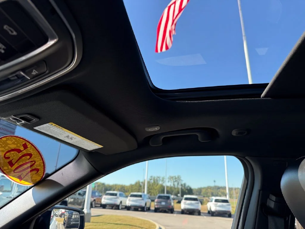 Used 2025 White Jeep Limited image 14