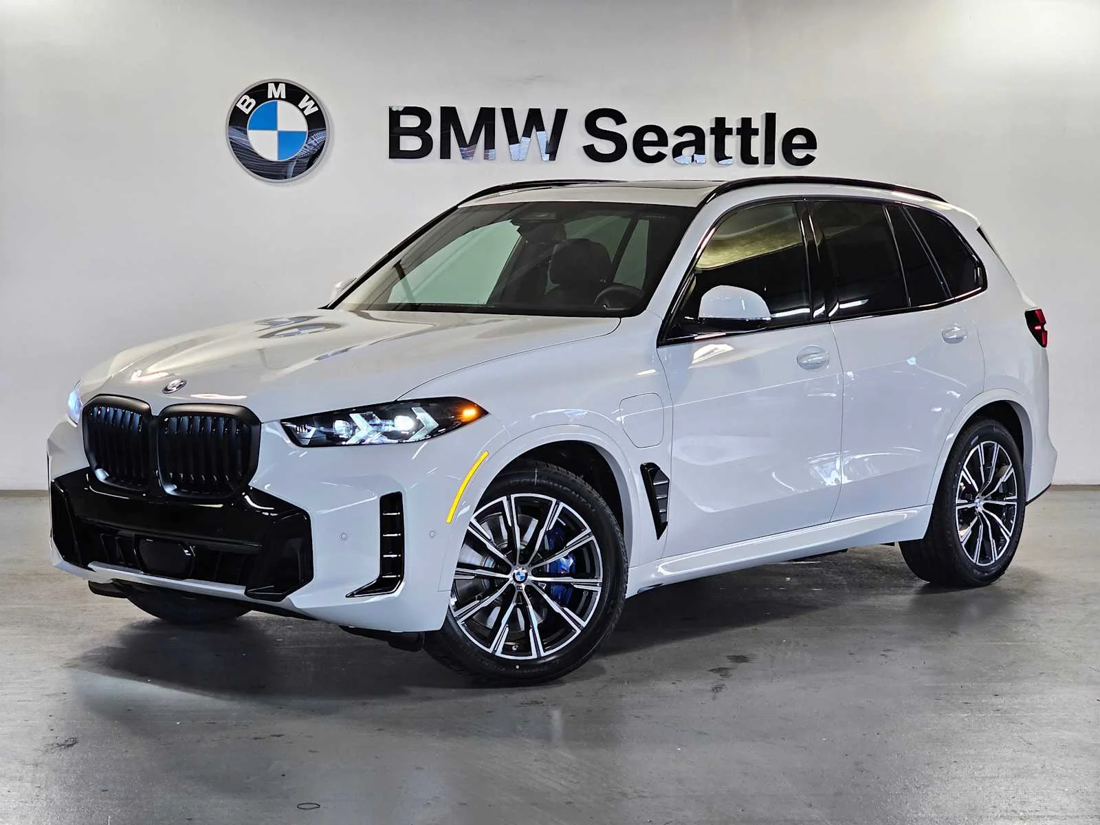 2026 BMW X5 xDrive50e's photo