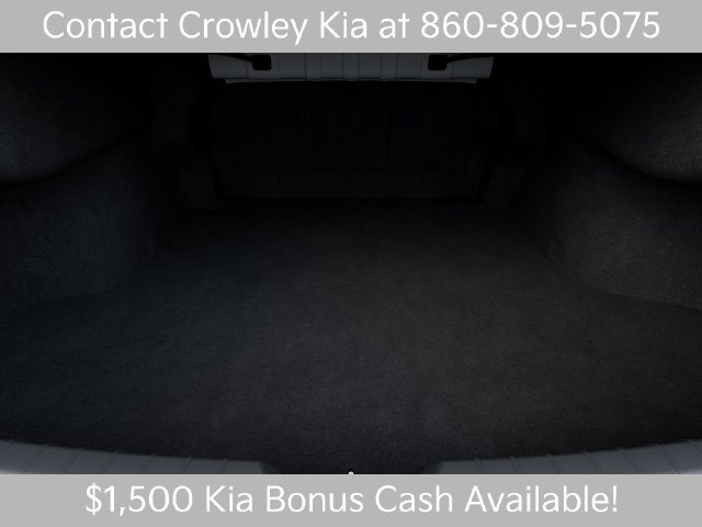 New 2026 Wolf Gray Kia GT-Line AWD image 19