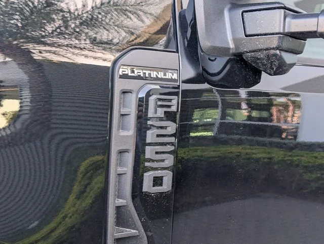 New 2026 Black Ford Platinum image 5
