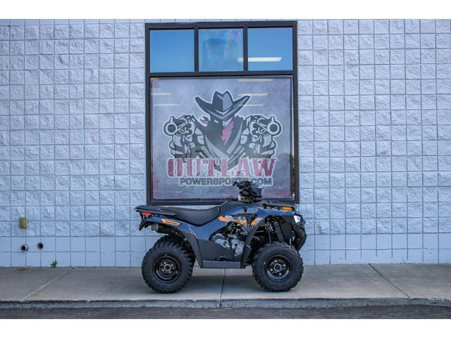 2026 Kawasaki Brute Force 300 