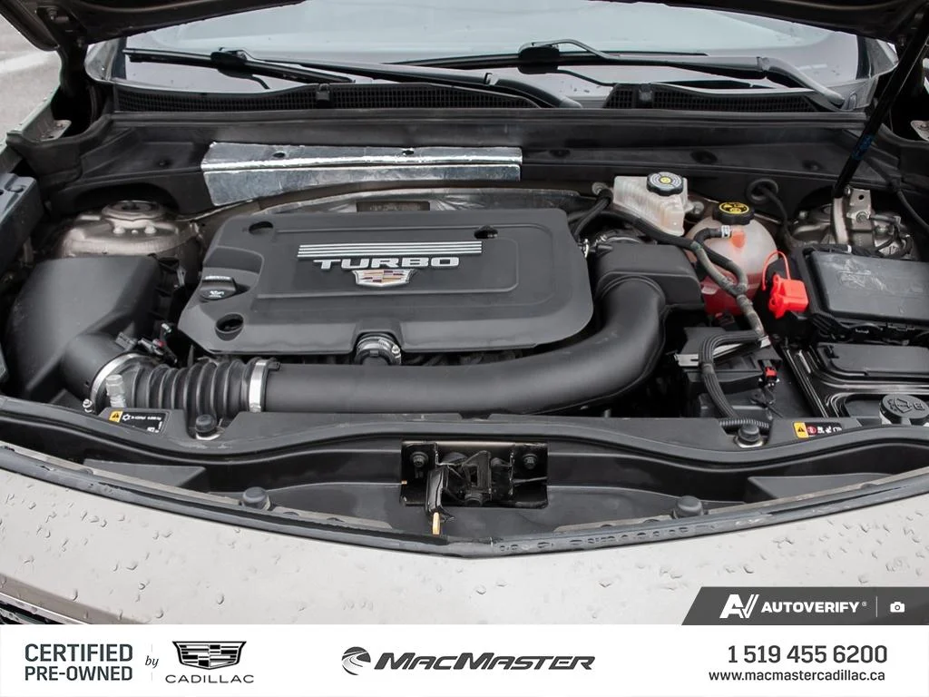 Used 2020  Cadillac Premium Luxury image 11