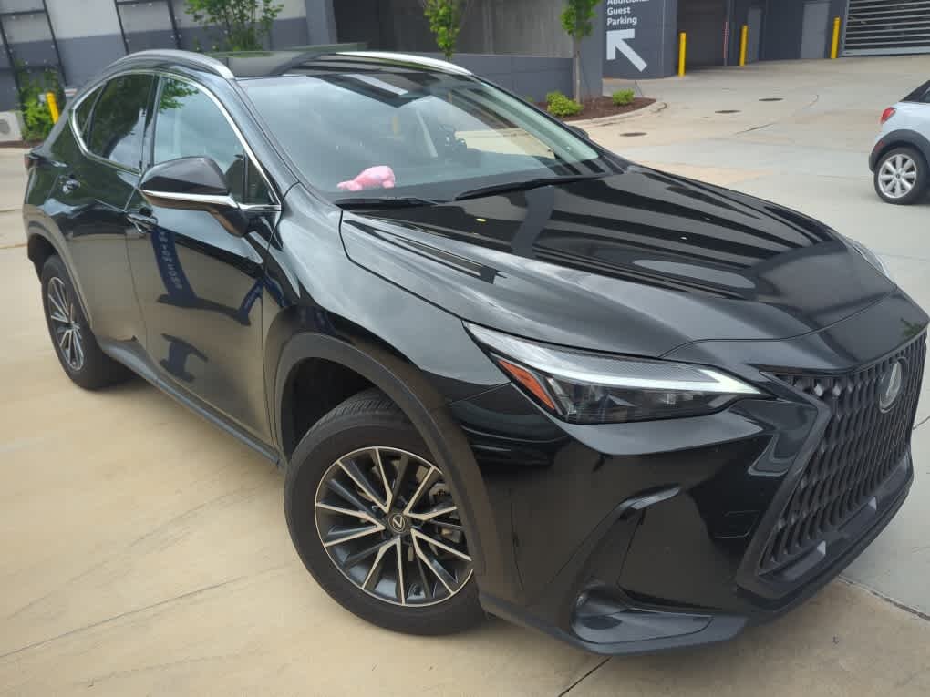 2024 Lexus NX 350h 350h Premium AWD's photo