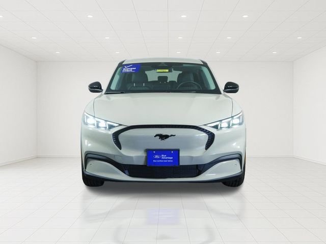 Certified Used 2025 Beige Ford Select image 3