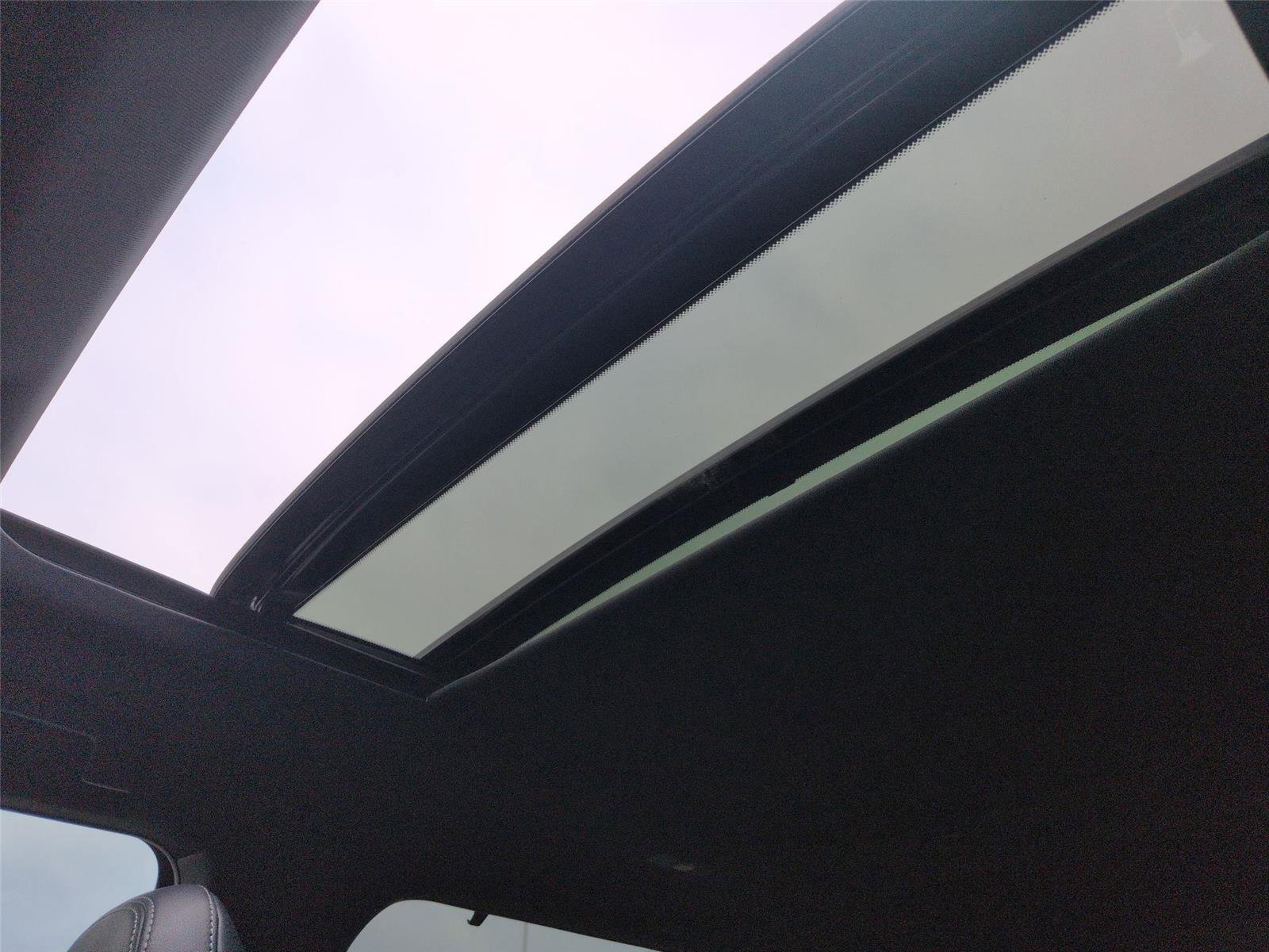 New 2026 Alpine Frost Nissan Platinum image 32