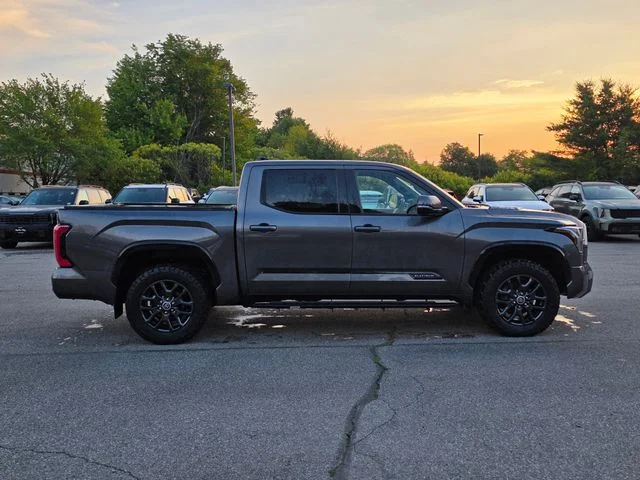 Used 2023 Magnetic Gray Metallic Toyota Platinum image 9