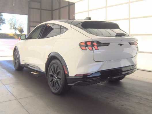 Used 2025 Star White Ford Premium image 6