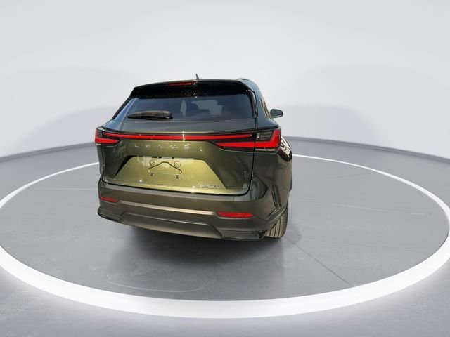 2024 Lexus NX 250 - Photo 7