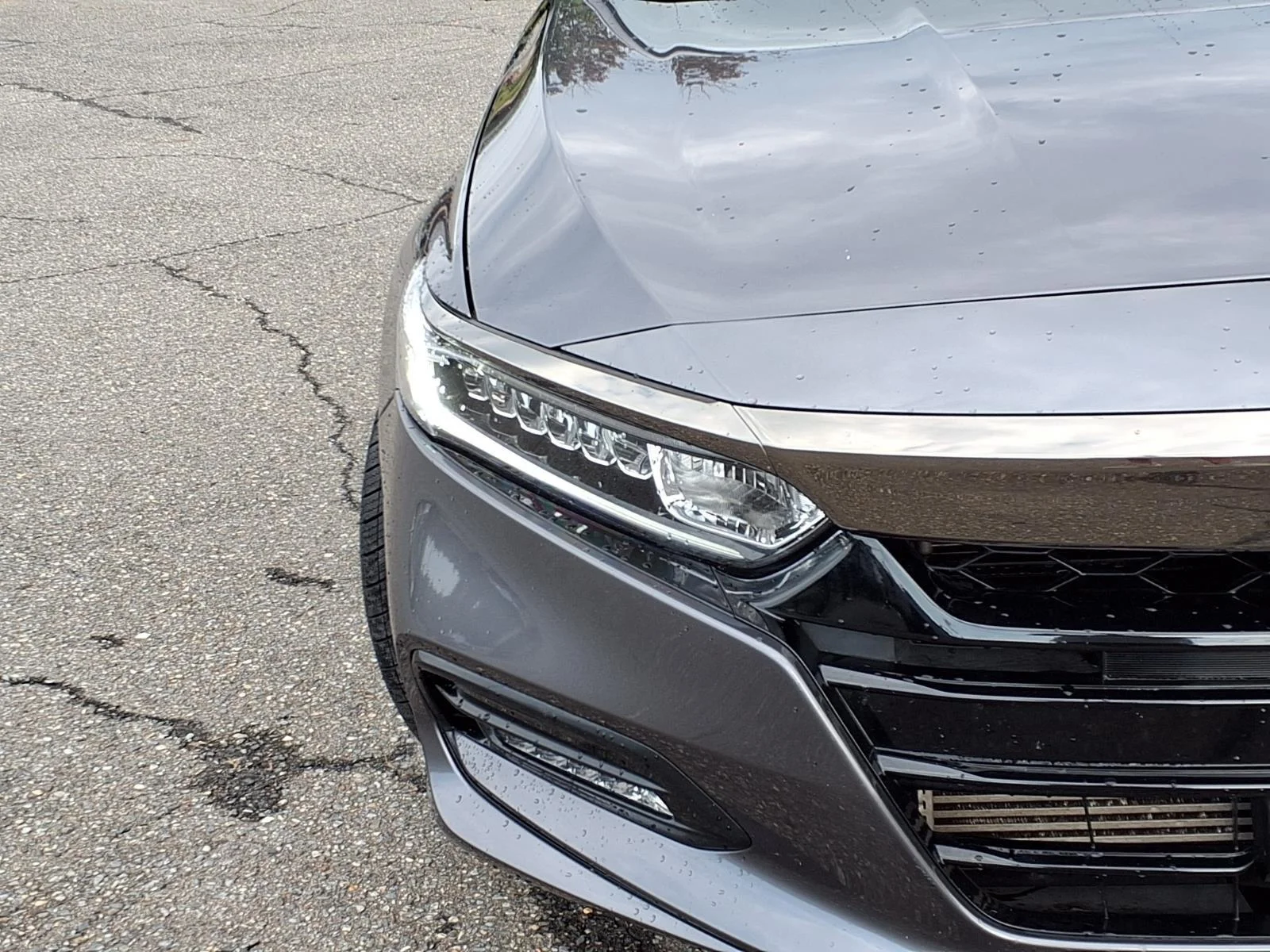 Used 2019 Modern Steel Metallic Honda Sport 1.5T image 15