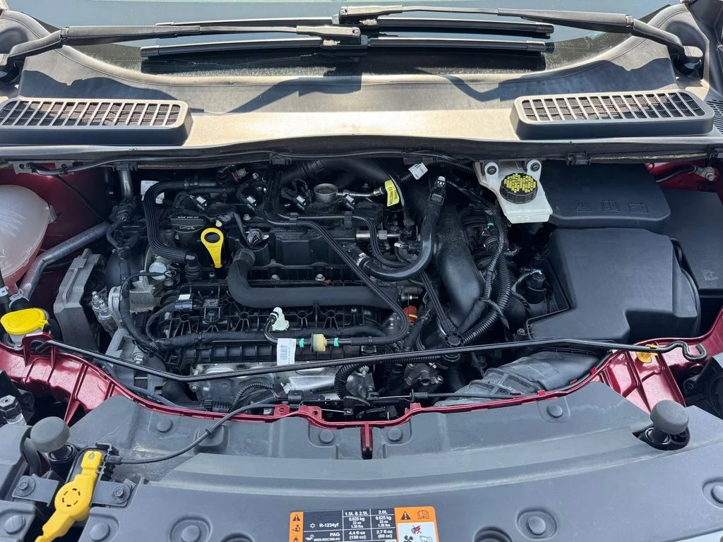 Used 2019 Red Ford SE image 14