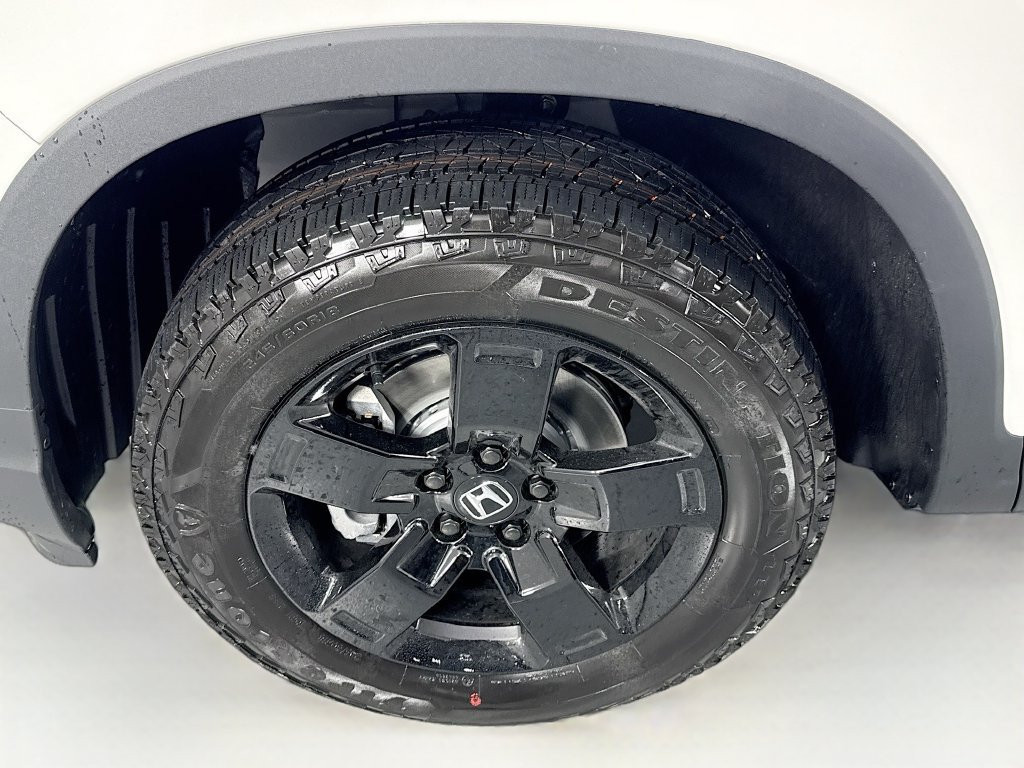 New 2026 Platinum White Pearl Honda Black Edition image 13