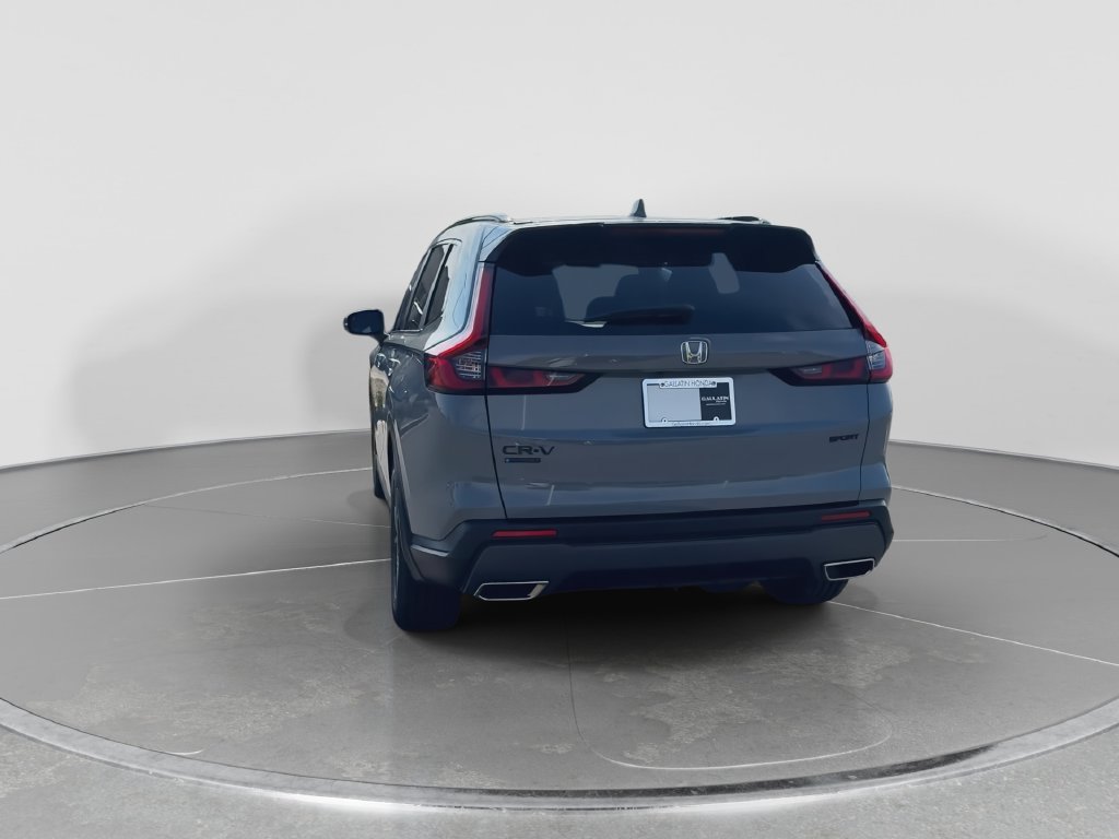 Used 2026 Urban Gray Pearl Honda Sport image 7