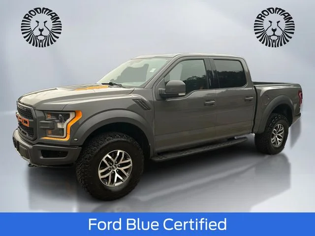 Used 2018 Lead Foot Ford Raptor image 1