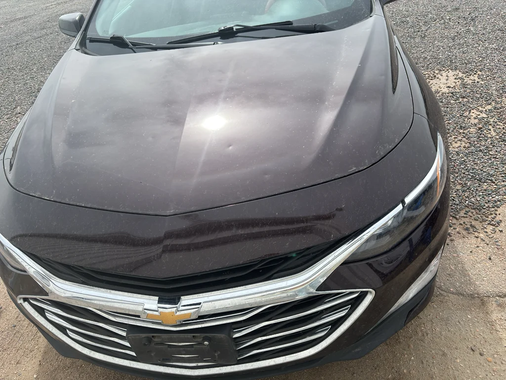 2021 Chevrolet Malibu 1LT's photo