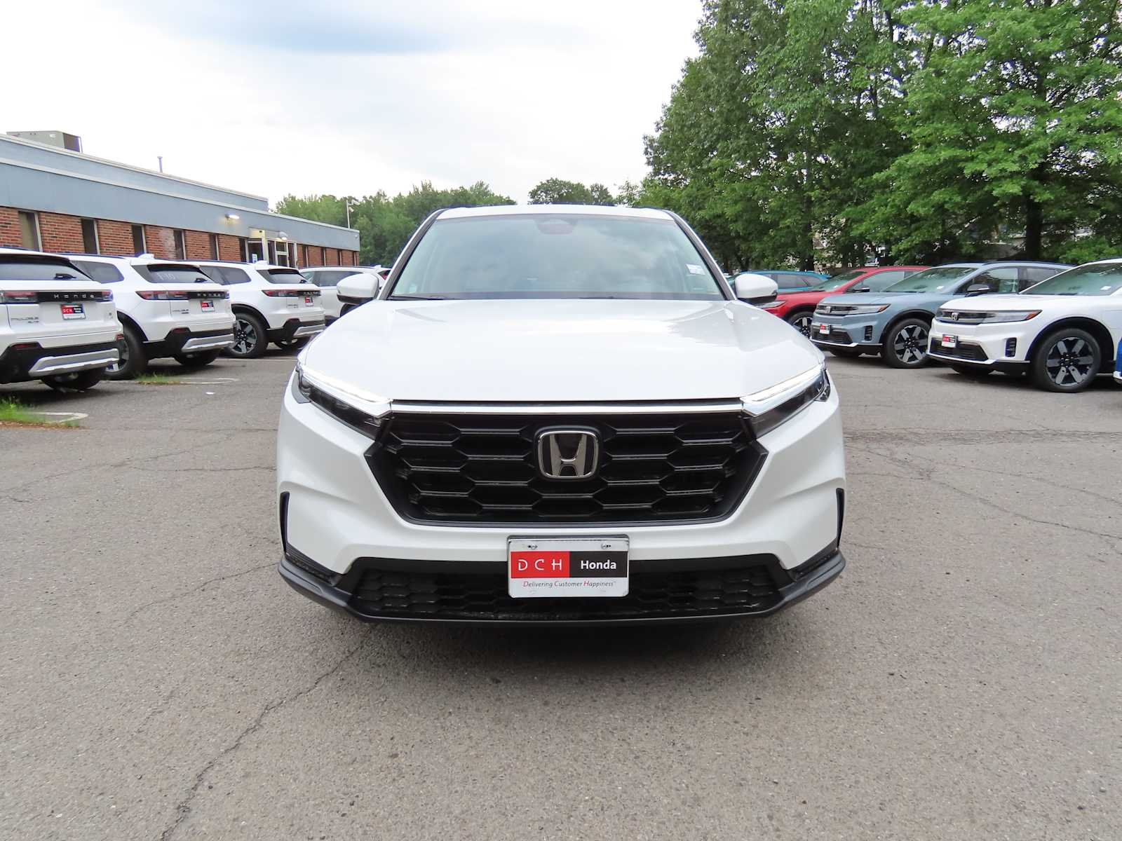 New 2026 Platinum White Pearl Honda LX image 6