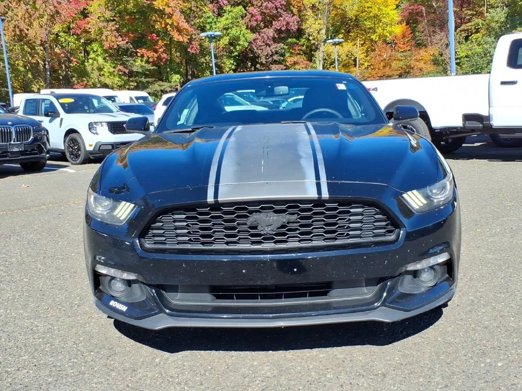 Used 2017 Ford Mustang EcoBoost with VIN 1FA6P8TH0H5294364 for sale in Watchung, NJ
