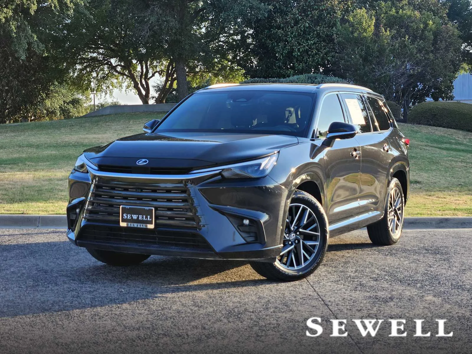 2025 Lexus TX 350 Premium