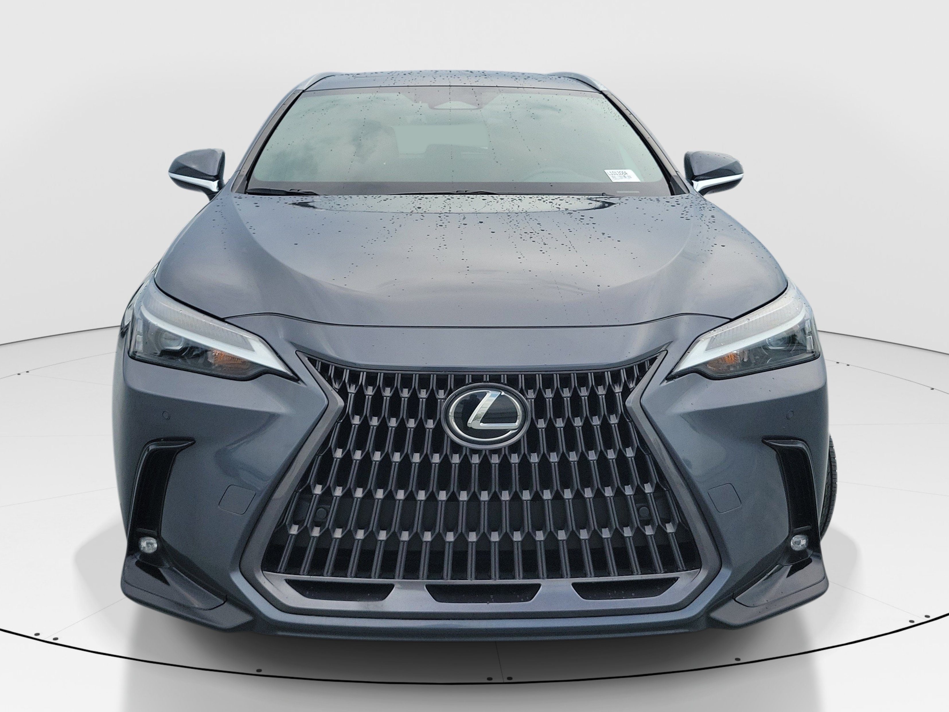 Used 2024 Gray Lexus 250 Premium image 2