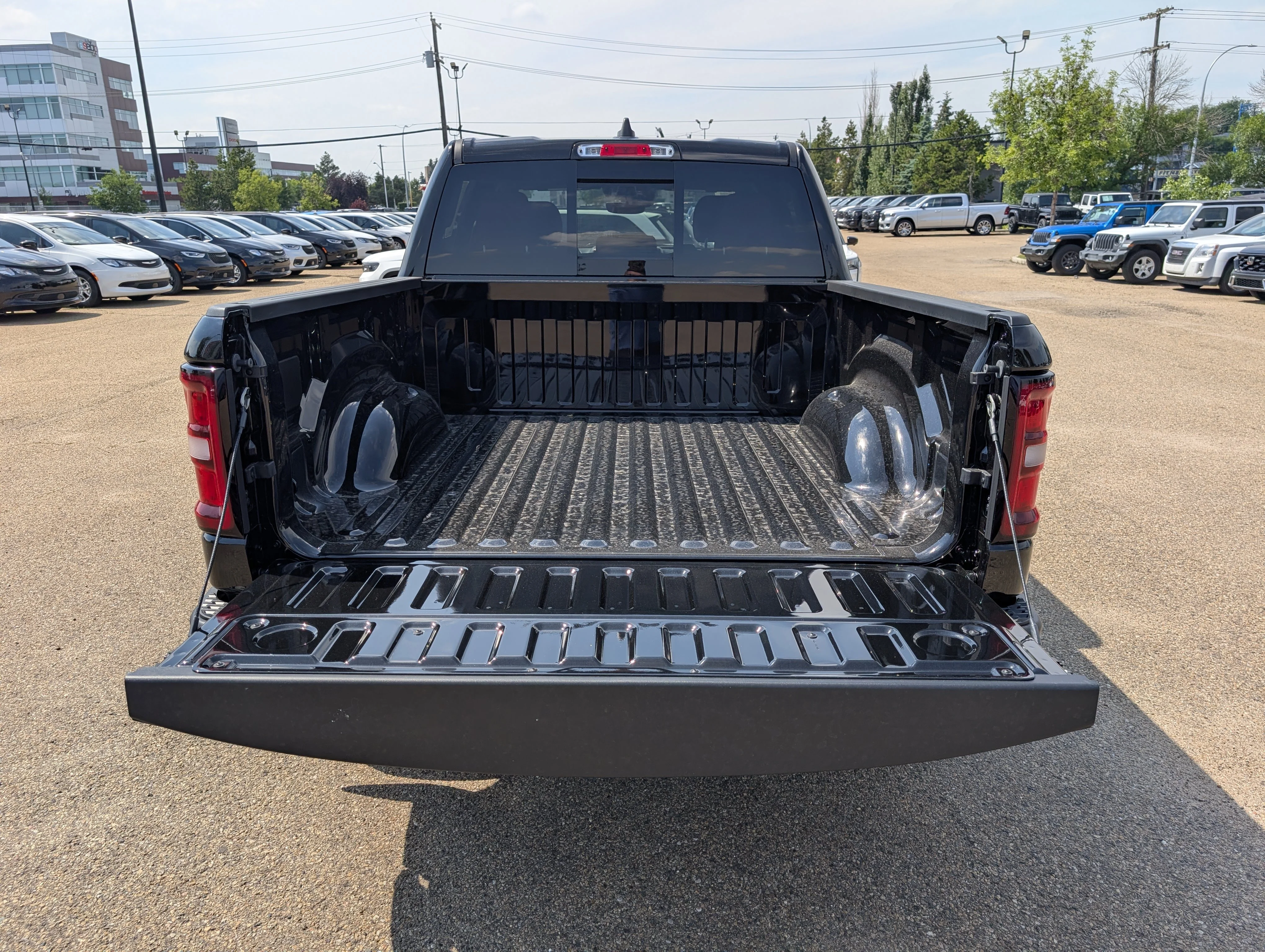 New 2026 Diamond Black Crystal Pearl Ram Rebel image 6