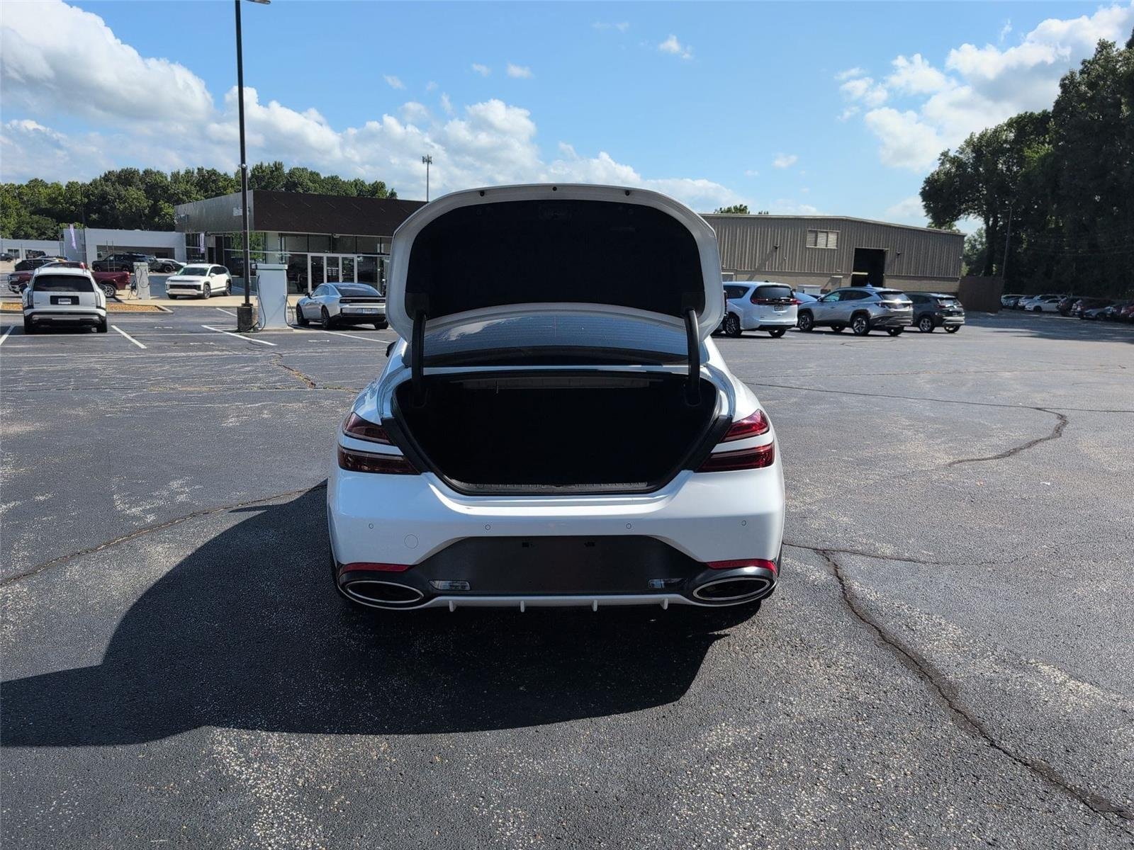 Used 2022 Alta White Genesis 3.3T image 7