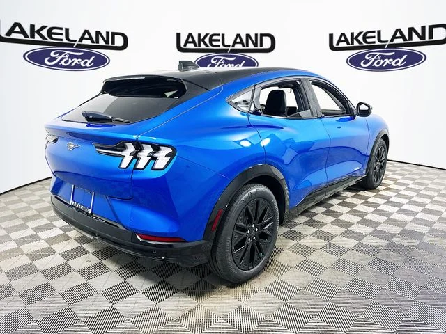 New 2026 Blue Ford Premium image 4