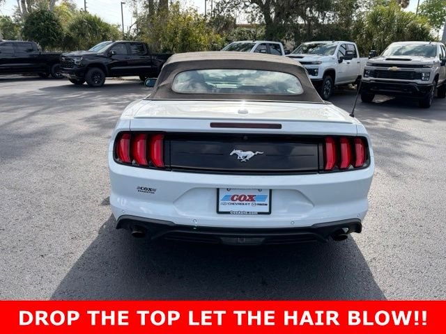 Used 2020 White Ford EcoBoost Premium image 5