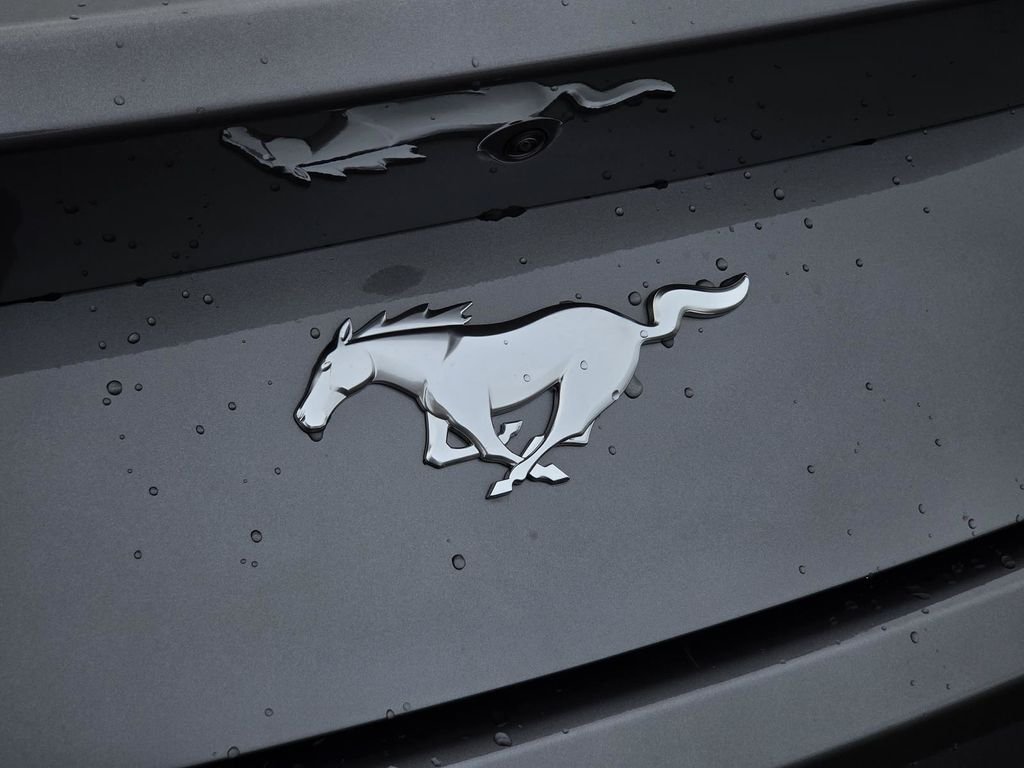 New 2026 Carbonized Gray Metallic Ford EcoBoost® Fastback image 39