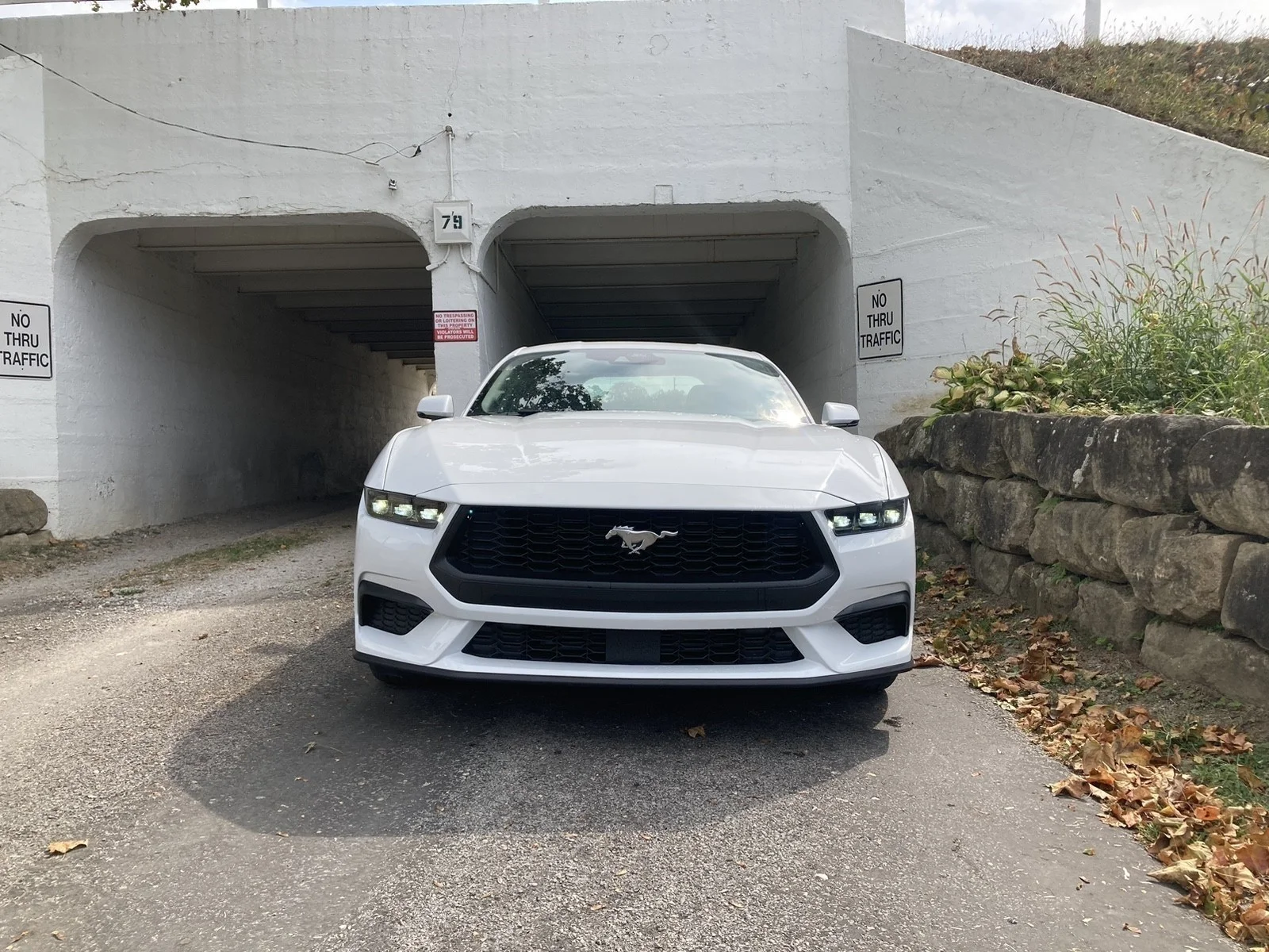 2025 Ford Mustang EcoBoost Premium Fastback - Photo 23