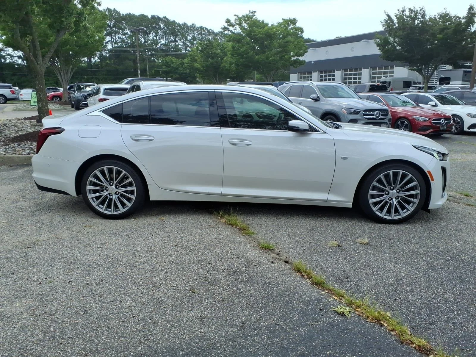 Used 2024 Crystal White Tricoat Cadillac Premium Luxury image 5