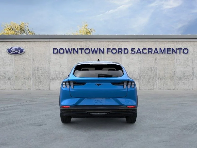 New 2024 Blue Ford Premium image 6