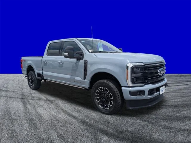 New 2026 Gray Ford Platinum image 2