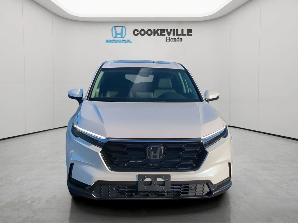 New 2026 Platinum White Pearl Honda EX-L image 6