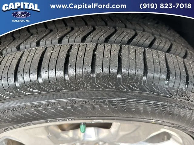 Used 2020 White Ford Platinum image 14
