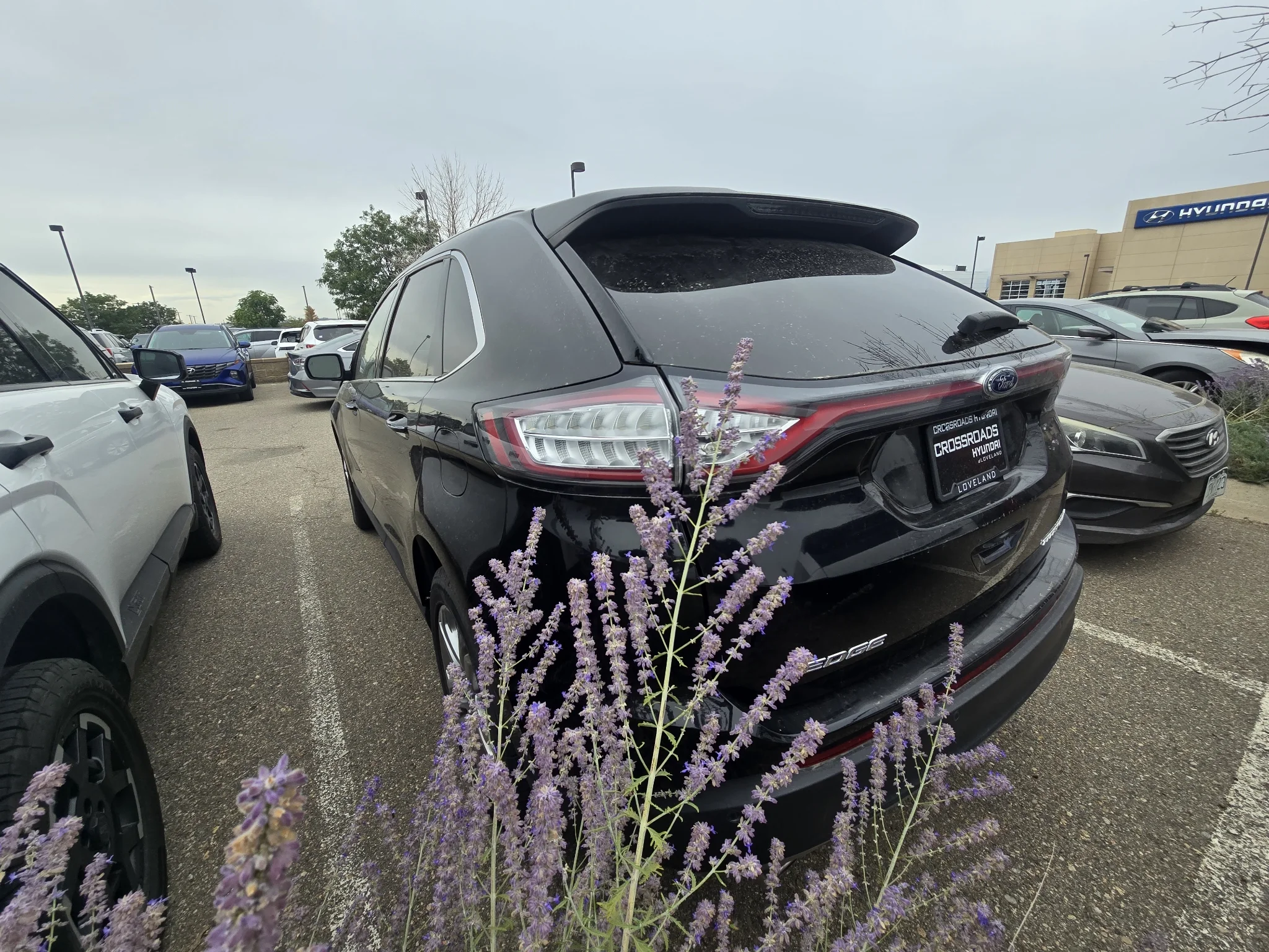 Used 2016 Shadow Black Ford Titanium image 15