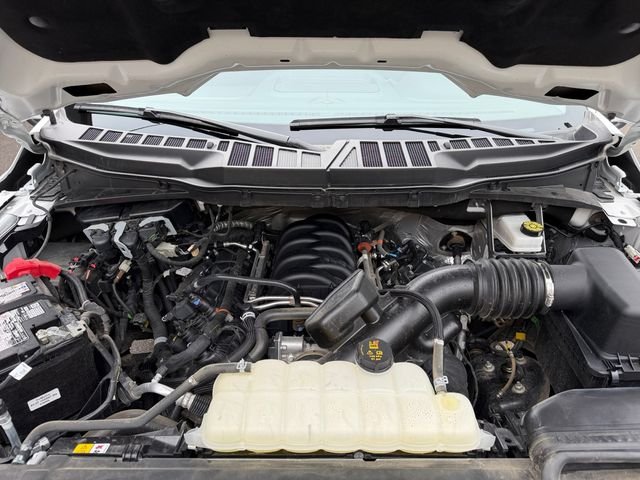 Used 2025 White Ford XLT image 19