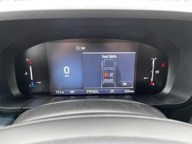 New 2026 Velocity Blue Ford XL image 19