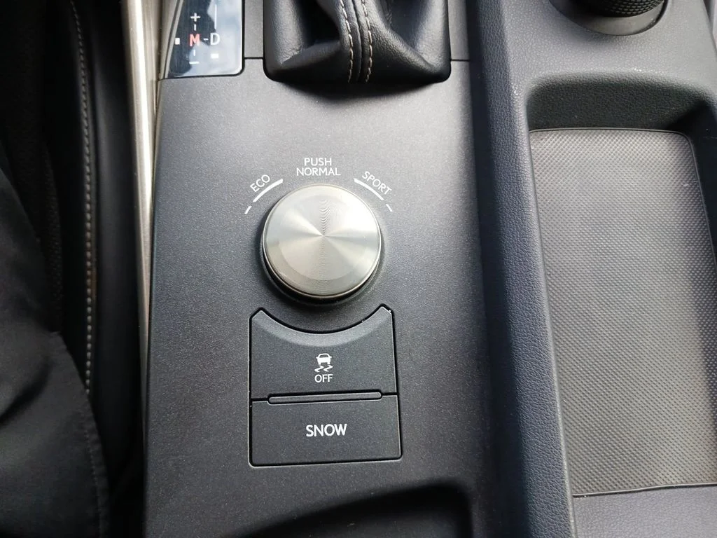 Used 2020 White Lexus 300 image 23