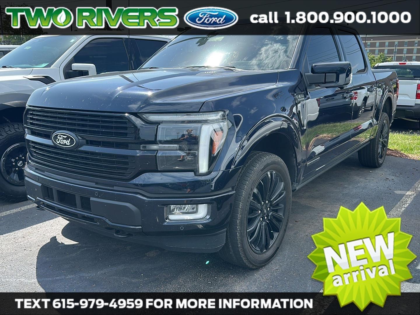 Used 2025 Blue Ford Platinum image 1