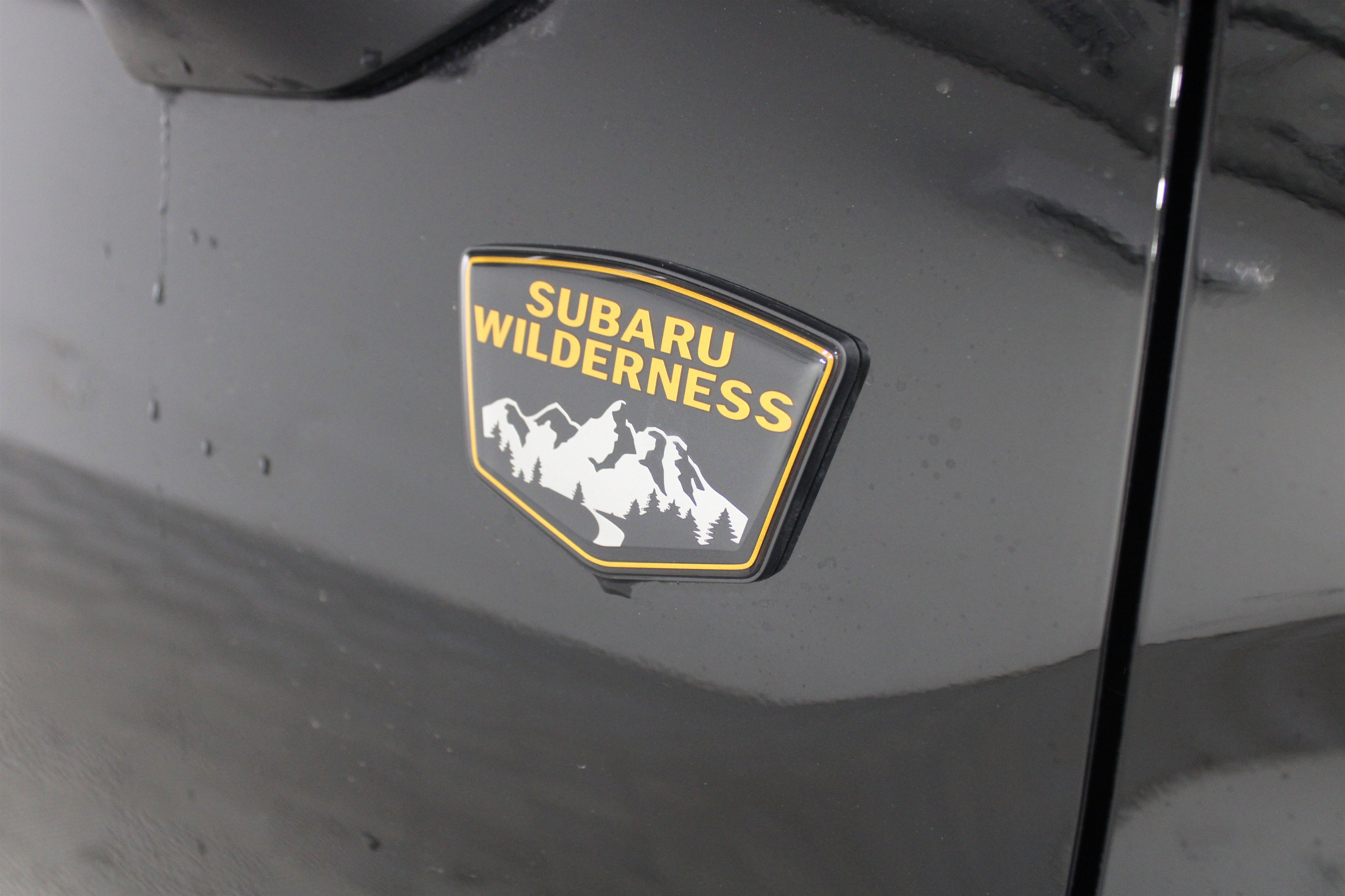 New 2026 Crystal Black Silica Subaru Wilderness image 25
