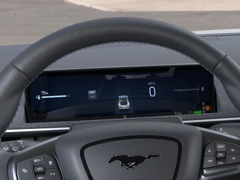2025 Ford Mustang Mach-E GT - Photo 13