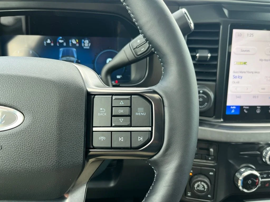 New 2026 Blue Ford Platinum image 21