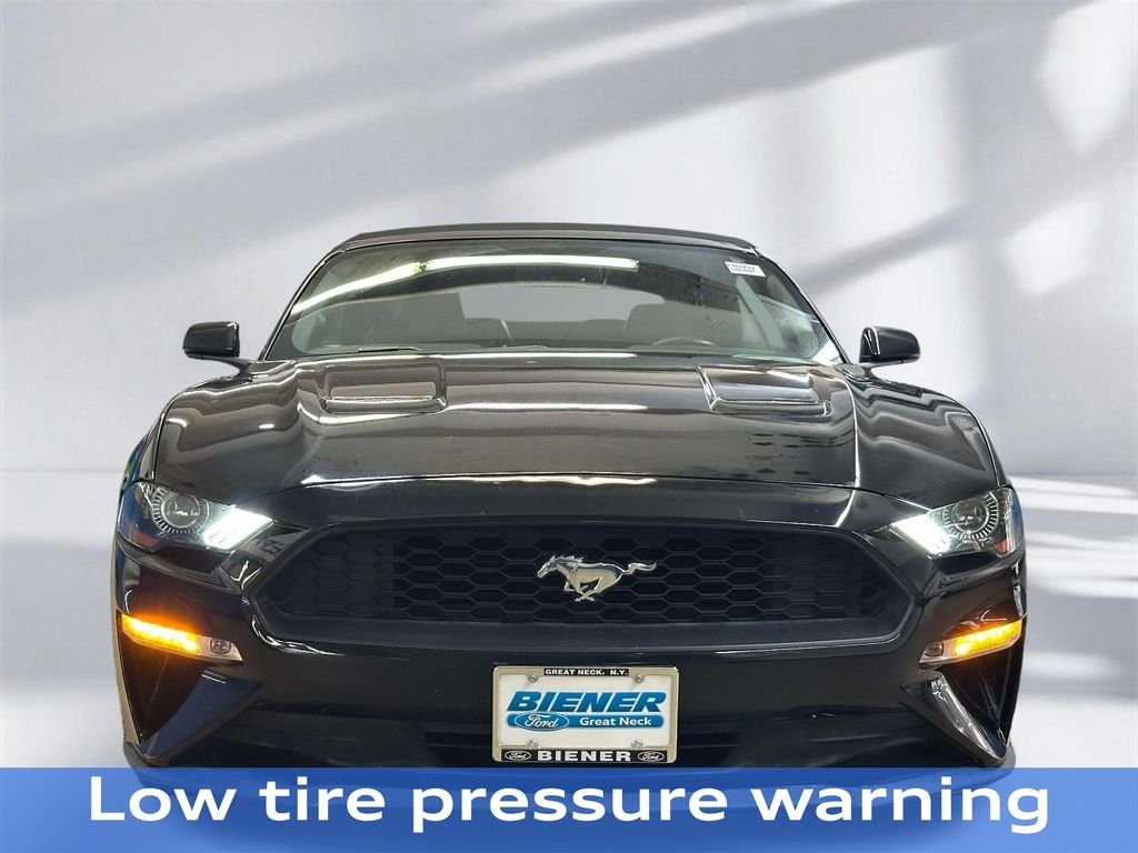 Used 2019 Shadow Black Ford EcoBoost Premium image 23