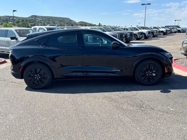New 2026 Shadow Black Ford Premium image 6