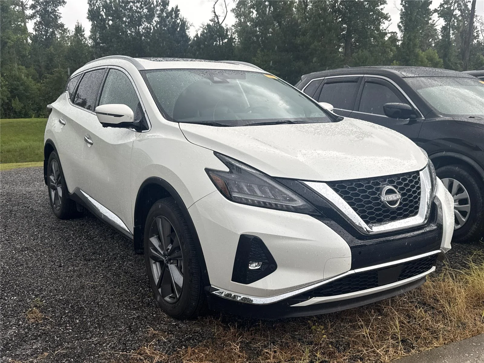 Used 2024 Pearl White Tricoat Nissan Platinum image 2