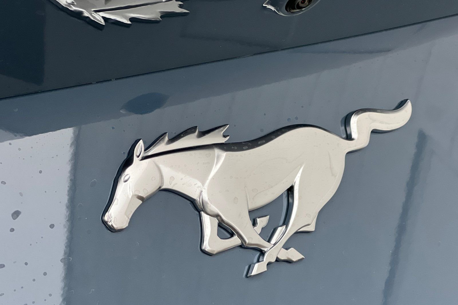 New 2026 Vapor Blue Metallic Ford EcoBoost® Fastback image 24