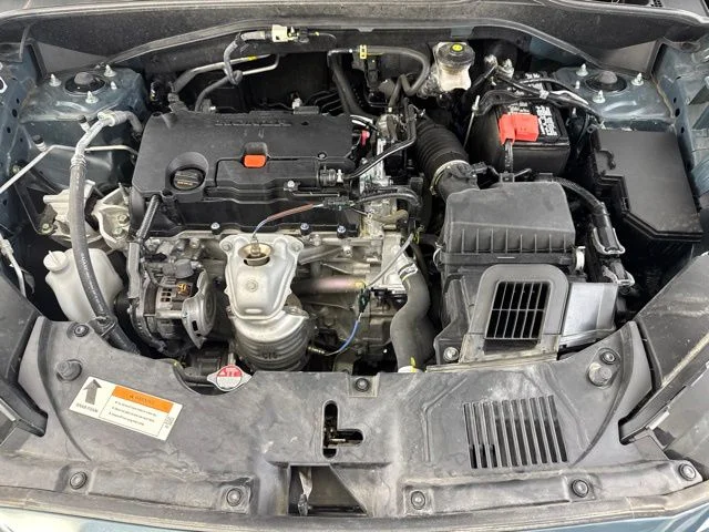 Used 2024 Green Honda Sport image 21