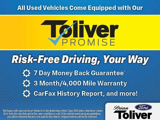 Used 2019 Magnetic Ford Platinum image 6